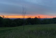 Hiking the Bruce Trail – 130 km from Georgetown to Orangeville